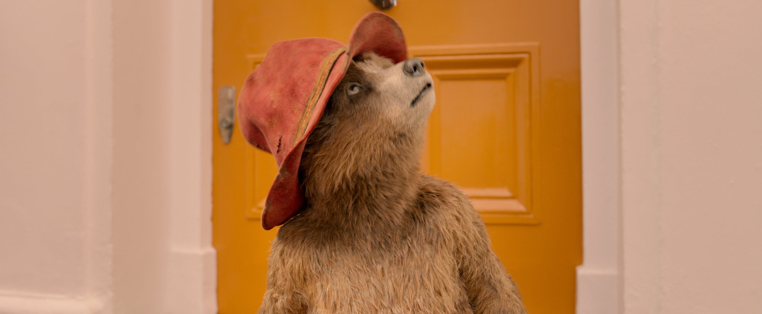 Still image from Paddington 2