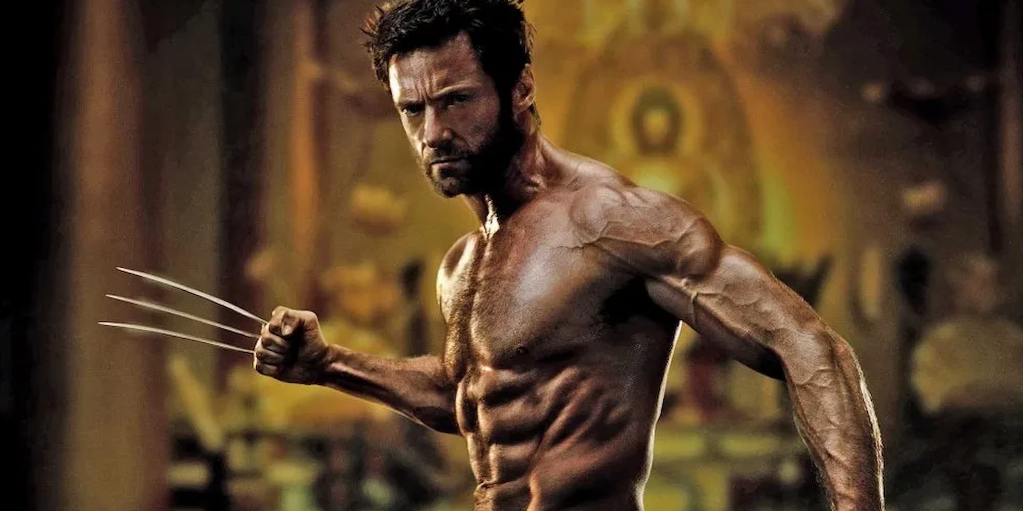 Hugh Jackman as Wolverine