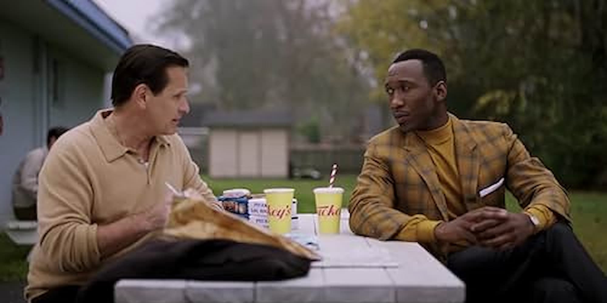 Mahershala Ali and Viggo Mortenson in Green Book